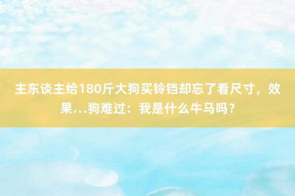 主东谈主给180斤大狗买铃铛却忘了看尺寸，效果…狗难过：我是什么牛马吗？