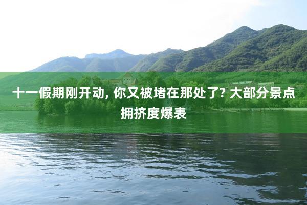 十一假期刚开动, 你又被堵在那处了? 大部分景点拥挤度爆表