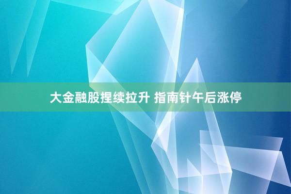 大金融股捏续拉升 指南针午后涨停