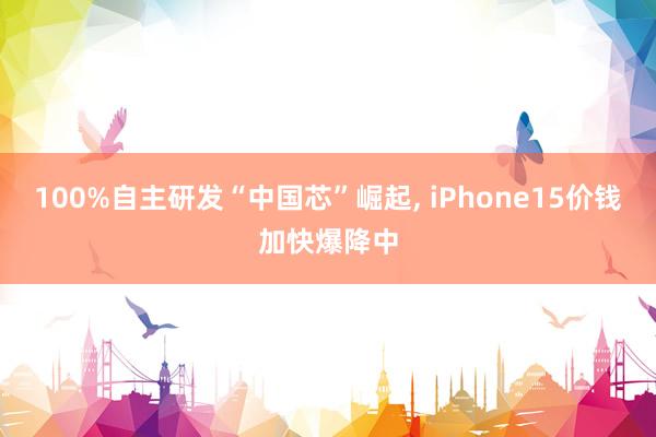 100%自主研发“中国芯”崛起, iPhone15价钱加快爆降中